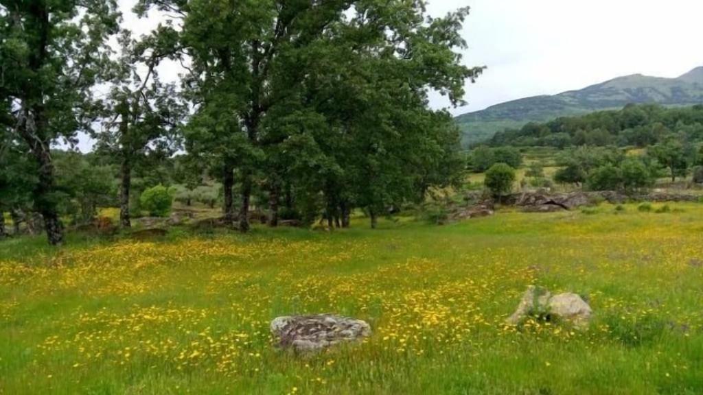 La Huerta - Vut Av187- Para 10 Personas Poyales Del Hoyo Dış mekan fotoğraf